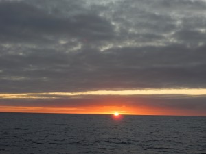DSCN0193