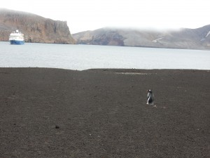 Whalers Bay