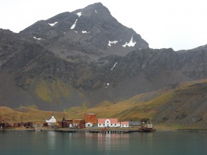 Grytviken, South Georgia