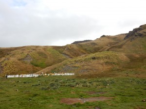 Cemetary