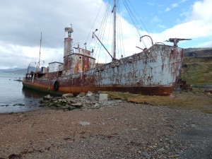 Whale catcher