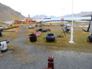 Museum Pieces