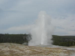 Old Faithful