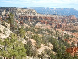 In Bryce Canyon UT