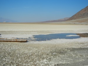 The water table is on the surface here.