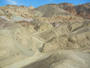 DSCN5130