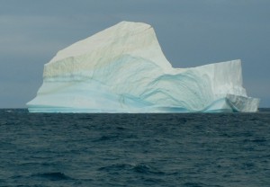 DSCN6281