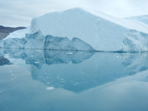 DSCN6440