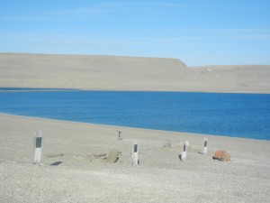 DSCN6845