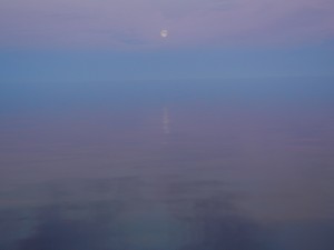 DSCN6988