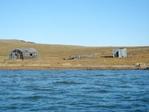 Derelict trappers camp