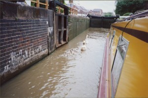 The swans take a free ride up the lock.