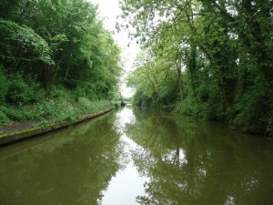 The Warwickshire Ring 2008