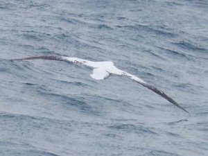 RSCN0923