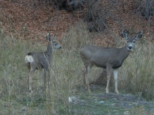 RSCN4193[1]