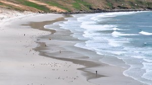 On the beach, Saunders Island